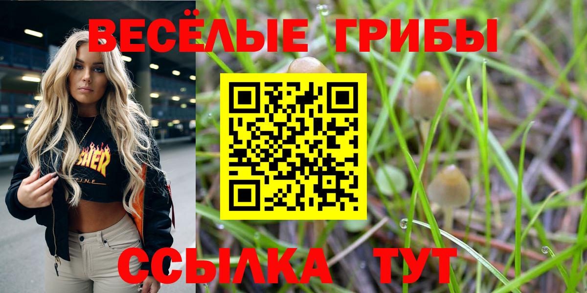 Железноводск  Псилоцибиновые грибы Psilocybe  Галлюциногенные грибы Psilocybine cubensis  Вход с VPN 